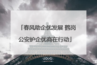 春风助企优发展 鹤岗公安护企优商在行动