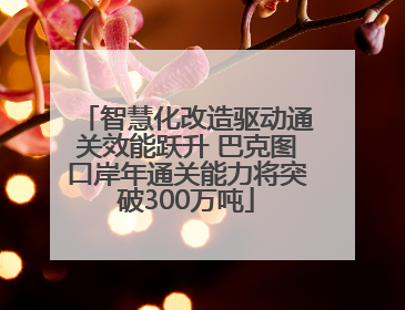 智慧化改造驱动通关效能跃升 巴克图口岸年通关能力将突破300万吨