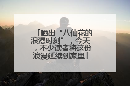 晒出“八仙花的浪漫时刻”，今天，不少读者将这份浪漫延续到家里