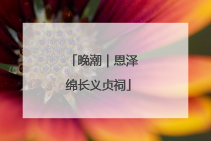 晚潮｜恩泽绵长义贞祠