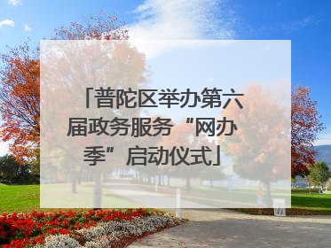 普陀区举办第六届政务服务“网办季”启动仪式