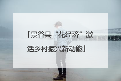 景谷县“花经济”激活乡村振兴新动能