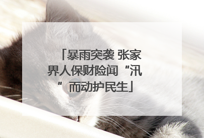 暴雨突袭 张家界人保财险闻“汛”而动护民生