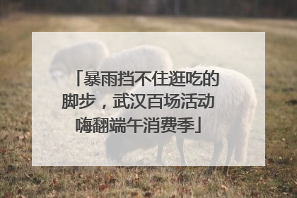 暴雨挡不住逛吃的脚步，武汉百场活动嗨翻端午消费季