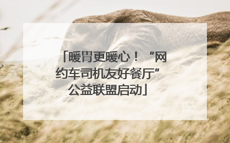 暖胃更暖心！“网约车司机友好餐厅”公益联盟启动