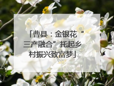曹县：金银花“三产融合”托起乡村振兴致富梦