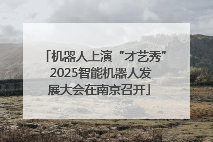 机器人上演“才艺秀” 2025智能机器人发展大会在南京召开