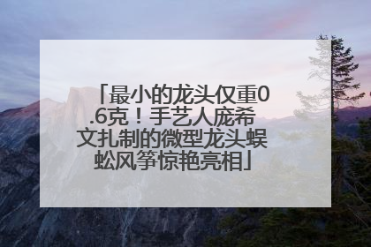 最小的龙头仅重0.6克！手艺人庞希文扎制的微型龙头蜈蚣风筝惊艳亮相