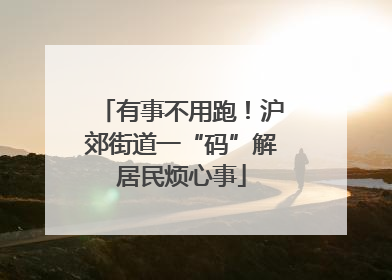 有事不用跑！沪郊街道一“码”解居民烦心事