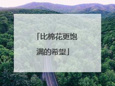 比棉花更饱满的希望