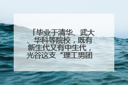 毕业于清华、武大、华科等院校，既有新生代又有中生代，光谷这支“理工男团”为何“出道”？