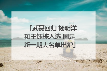武磊回归 杨明洋和王钰栋入选 国足新一期大名单出炉