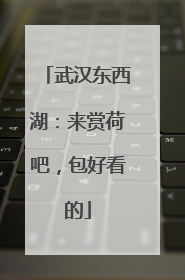 武汉东西湖：来赏荷吧，包好看的