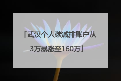 武汉个人碳减排账户从3万暴涨至160万