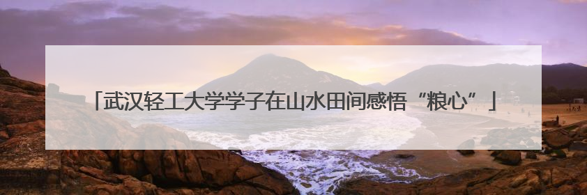 武汉轻工大学学子在山水田间感悟“粮心”