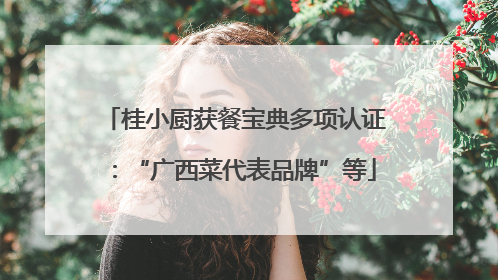 桂小厨获餐宝典多项认证：“广西菜代表品牌”等