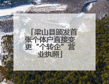 梁山县颁发首张个体户直接变更“个转企”营业执照