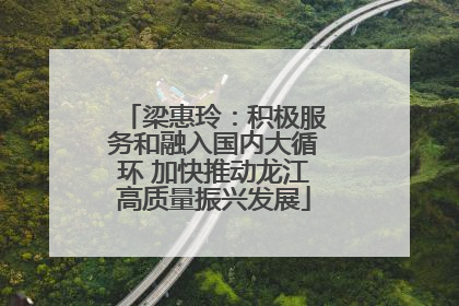 梁惠玲：积极服务和融入国内大循环 加快推动龙江高质量振兴发展