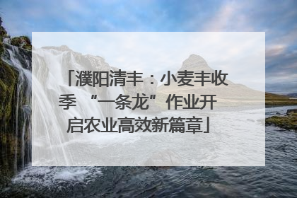 濮阳清丰：小麦丰收季 “一条龙”作业开启农业高效新篇章
