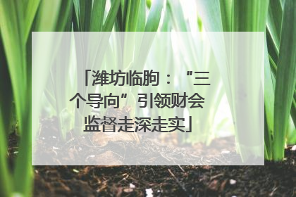 潍坊临朐：“三个导向”引领财会监督走深走实
