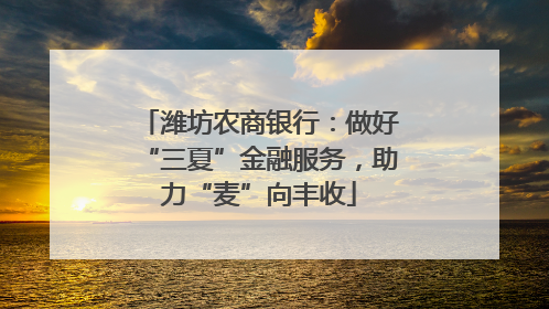 潍坊农商银行：做好“三夏”金融服务，助力“麦”向丰收