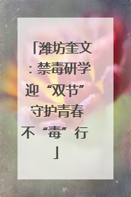 潍坊奎文：禁毒研学迎“双节” 守护青春不“毒”行