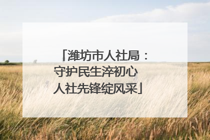 潍坊市人社局：守护民生淬初心 人社先锋绽风采