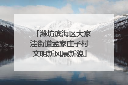 潍坊滨海区大家洼街道孟家庄子村文明新风展新貌