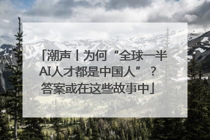潮声丨为何“全球一半AI人才都是中国人”？答案或在这些故事中