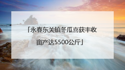 永春东关镇冬瓜喜获丰收 亩产达5500公斤