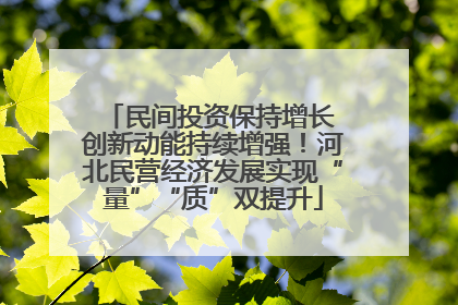 民间投资保持增长 创新动能持续增强！河北民营经济发展实现“量”“质”双提升