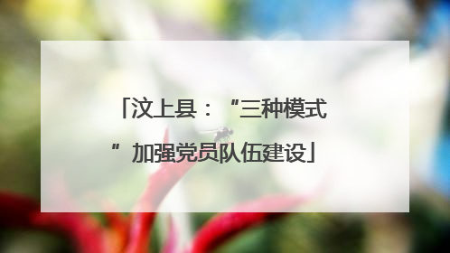汶上县：“三种模式”加强党员队伍建设