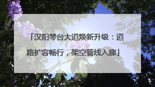 汉阳琴台大道焕新升级：道路扩容畅行，架空管线入廊