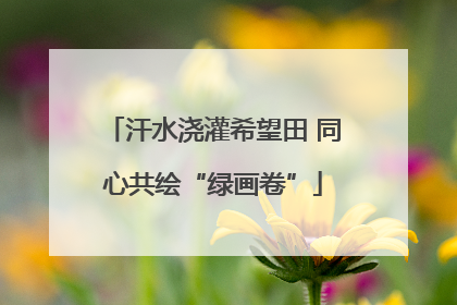 汗水浇灌希望田 同心共绘“绿画卷”