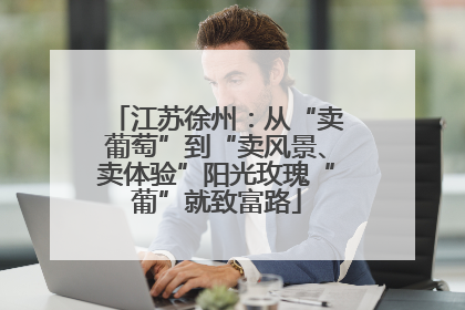 江苏徐州：从“卖葡萄”到“卖风景、卖体验”阳光玫瑰“葡”就致富路