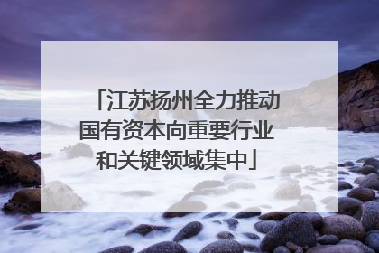 江苏扬州全力推动国有资本向重要行业和关键领域集中