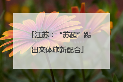 江苏：“苏超”踢出文体旅新配合
