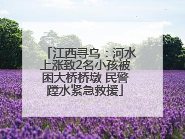 江西寻乌：河水上涨致2名小孩被困大桥桥墩 民警蹚水紧急救援