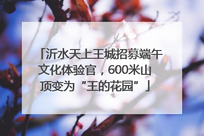 沂水天上王城招募端午文化体验官，600米山顶变为“王的花园”