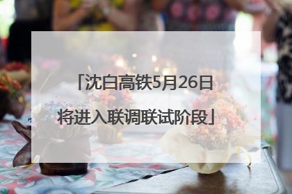 沈白高铁5月26日将进入联调联试阶段