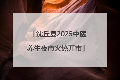 沈丘县2025中医养生夜市火热开市