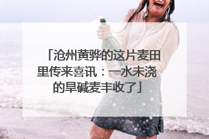 沧州黄骅的这片麦田里传来喜讯：一水未浇的旱碱麦丰收了