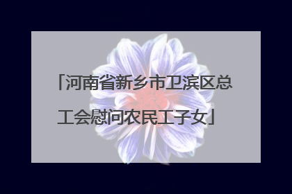 河南省新乡市卫滨区总工会慰问农民工子女
