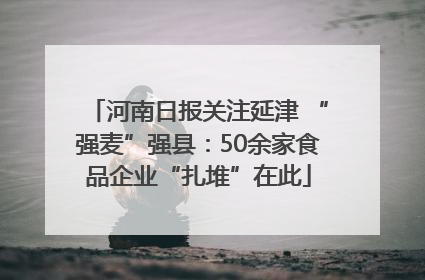 河南日报关注延津 “强麦”强县：50余家食品企业“扎堆”在此