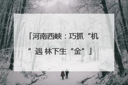 河南西峡：巧抓“机”遇 林下生“金”