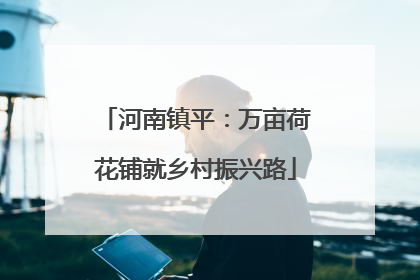 河南镇平：万亩荷花铺就乡村振兴路