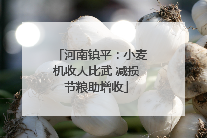 河南镇平：小麦机收大比武 减损节粮助增收