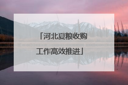 河北夏粮收购工作高效推进