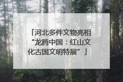 河北多件文物亮相“龙腾中国：红山文化古国文明特展”