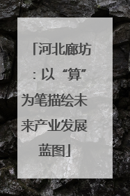河北廊坊：以“算”为笔描绘未来产业发展蓝图